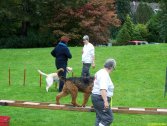 Spiele im Park 06.10.2013